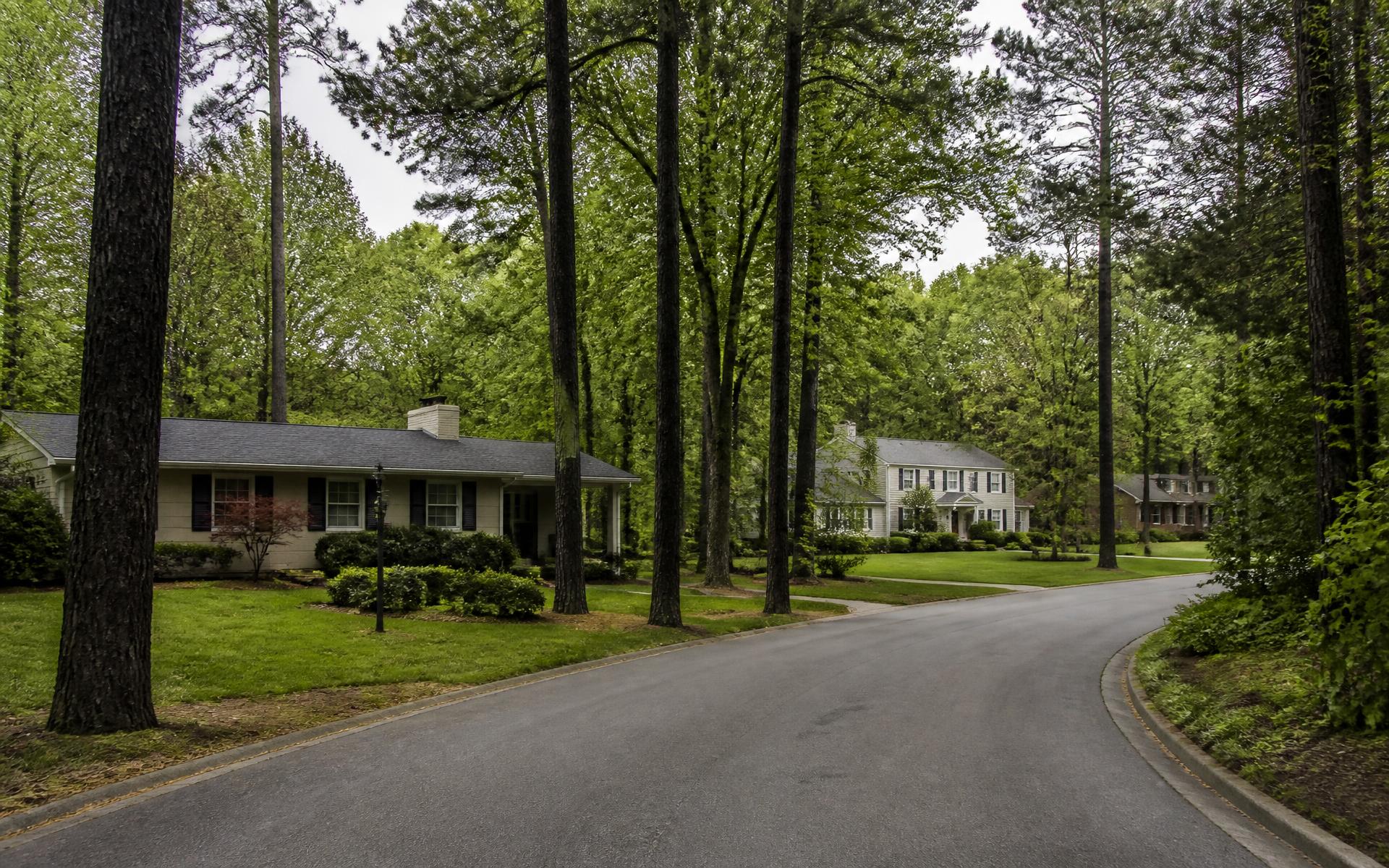 Curving suburban lane with mid-century and traditional houses among tall pines and hardwoods in Foxcroft, Charlotte