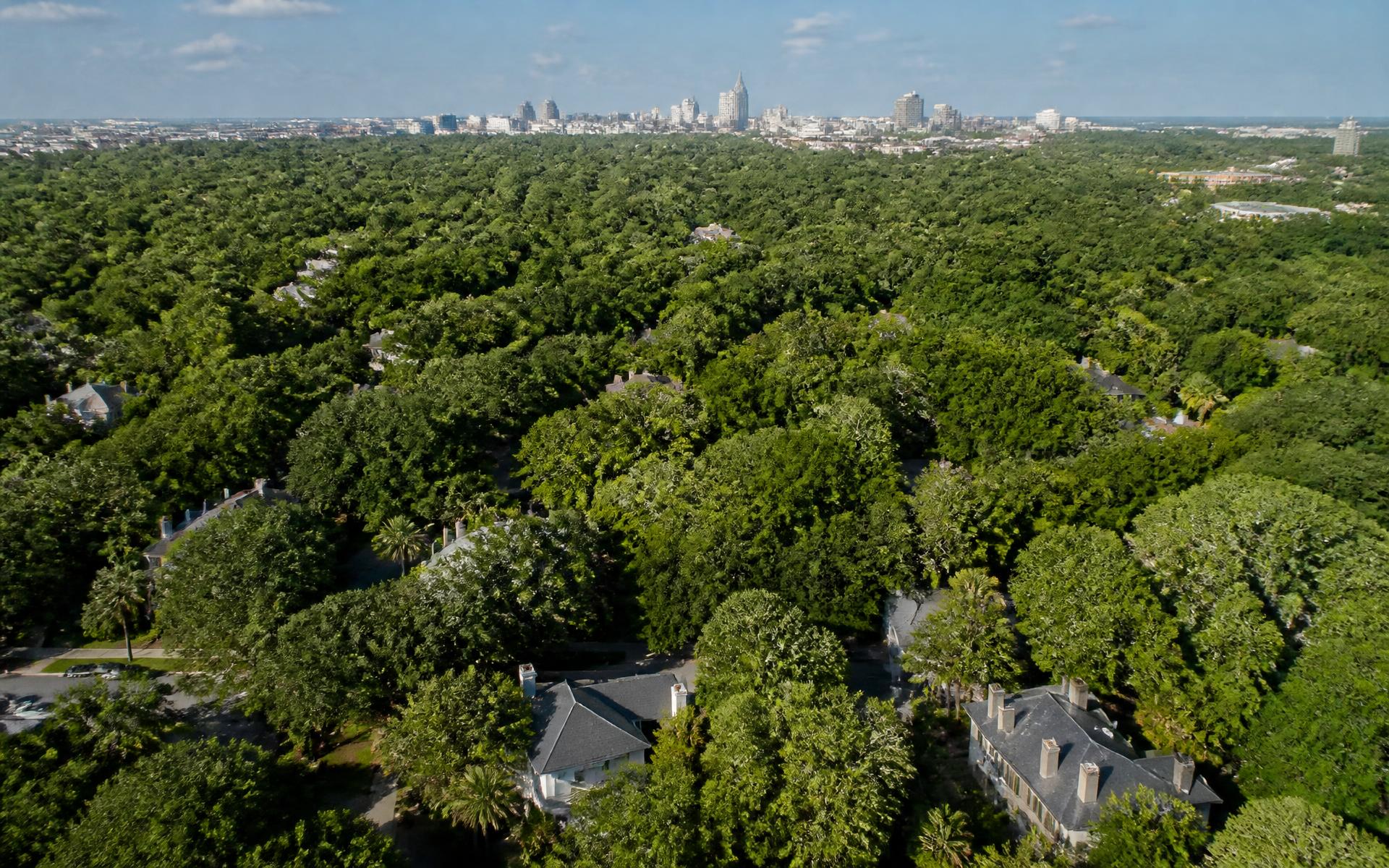 Aerial view of the Myers Park tree canopy with Uptown Charlotte on the horizon