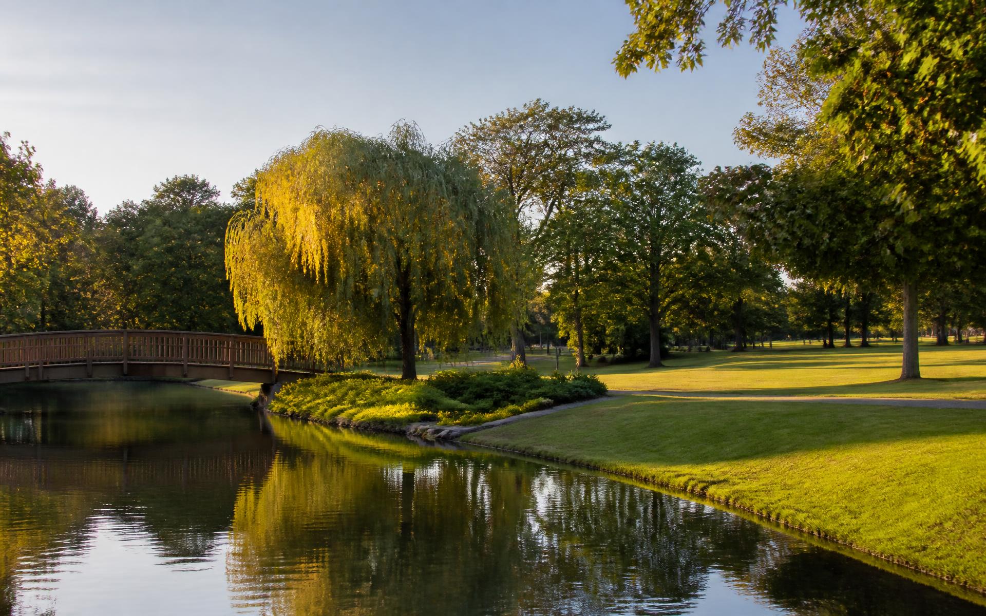 Wooden footbridge and weeping willows over a park lake in Charlotte at golden hour